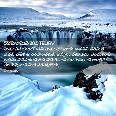 Picture 02 - యెహోషువ 20:5 TELIRV - హత్య విషయంలో - Bible Verse Picture