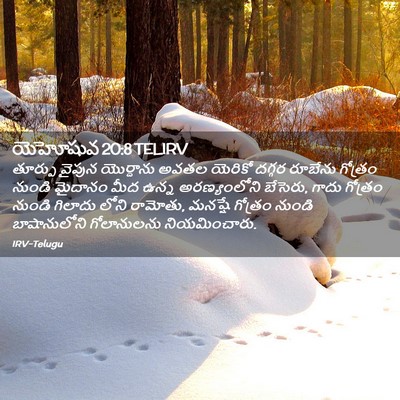 Picture 02 - యెహోషువ 20:8 TELIRV - తూర్పు వైపున - Bible Verse Picture