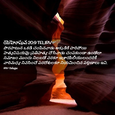 Picture 02 - యెహోషువ 20:9 TELIRV - పొరపాటున ఒకడి - Bible Verse Picture