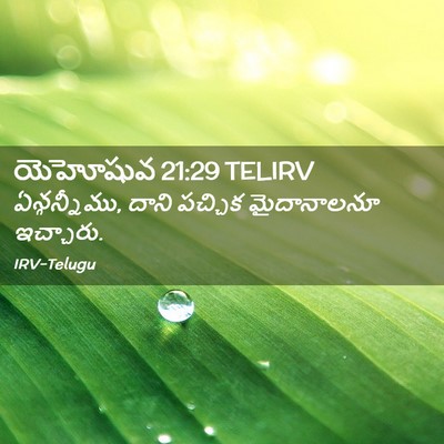 Picture 02 - యెహోషువ 21:29 TELIRV - ఏన్గన్నీము, దాని - Bible Verse Picture