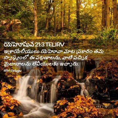 Picture 02 - యెహోషువ 21:3 TELIRV - ఇశ్రాయేలీయులు - Bible Verse Picture