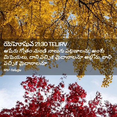 Picture 02 - యెహోషువ 21:30 TELIRV - ఆషేరు గోత్రం - Bible Verse Picture