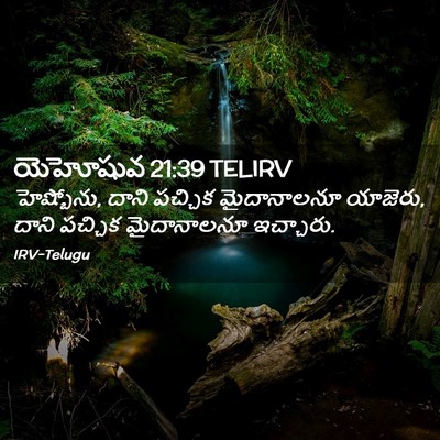 Picture 02 - యెహోషువ 21:39 TELIRV - హెష్బోను, దాని - Bible Verse Picture