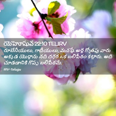 Picture 02 - యెహోషువ 22:10 TELIRV - రూబేనీయులు, - Bible Verse Picture