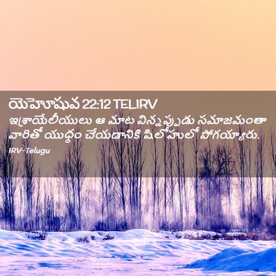 Picture 02 - యెహోషువ 22:12 TELIRV - ఇశ్రాయేలీయులు ఆ - Bible Verse Picture