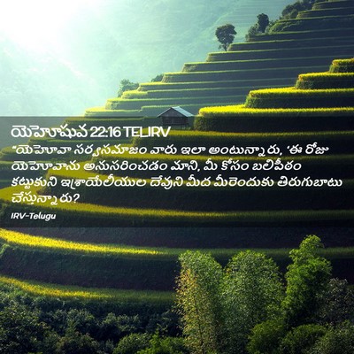 Picture 02 - యెహోషువ 22:16 TELIRV - “యెహోవా సర్వసమాజం - Bible Verse Picture
