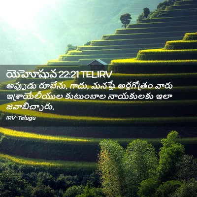 Picture 02 - యెహోషువ 22:21 TELIRV - అప్పుడు రూబేను, - Bible Verse Picture
