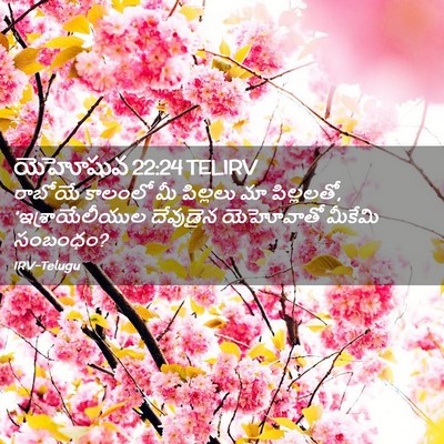 Picture 02 - యెహోషువ 22:24 TELIRV - రాబోయే కాలంలో మీ - Bible Verse Picture