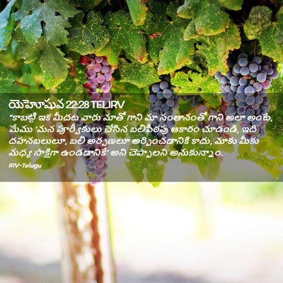 Picture 02 - యెహోషువ 22:28 TELIRV - “కాబట్టి ఇక మీదట - Bible Verse Picture