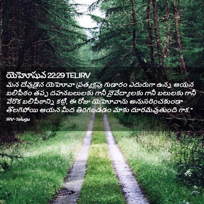 Picture 02 - యెహోషువ 22:29 TELIRV - మన దేవుడైన యెహోవా - Bible Verse Picture