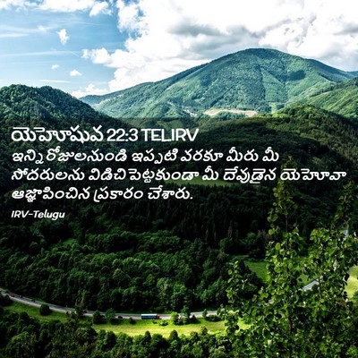 Picture 02 - యెహోషువ 22:3 TELIRV - ఇన్నిరోజులనుండి - Bible Verse Picture