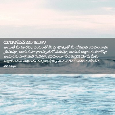 Picture 02 - యెహోషువ 22:5 TELIRV - అయితే మీ - Bible Verse Picture