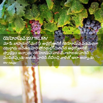 Picture 02 - యెహోషువ 22:7 TELIRV - మోషే బాషానులో - Bible Verse Picture