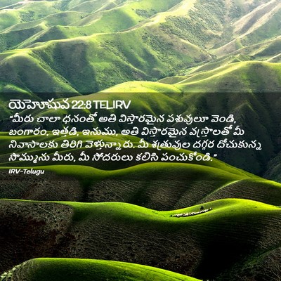 Picture 02 - యెహోషువ 22:8 TELIRV - “మీరు చాలా ధనంతో - Bible Verse Picture