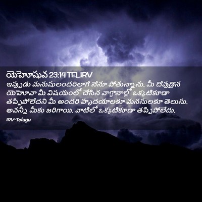 Picture 02 - యెహోషువ 23:14 TELIRV - ఇప్పుడు - Bible Verse Picture