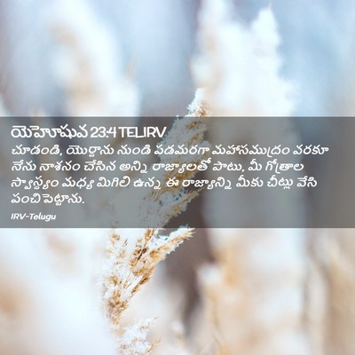 Picture 02 - యెహోషువ 23:4 TELIRV - చూడండి, యొర్దాను - Bible Verse Picture