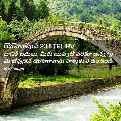 Picture 02 - యెహోషువ 23:8 TELIRV - దానికి బదులు, మీరు - Bible Verse Picture