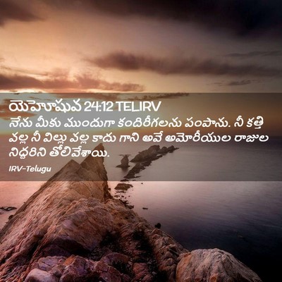 Picture 02 - యెహోషువ 24:12 TELIRV - నేను మీకు ముందుగా - Bible Verse Picture