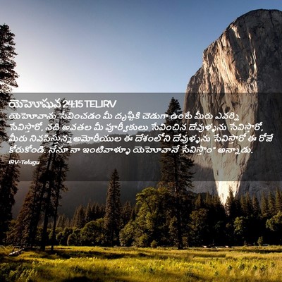 Picture 02 - యెహోషువ 24:15 TELIRV - యెహోవాను సేవించడం - Bible Verse Picture