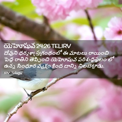Picture 02 - యెహోషువ 24:26 TELIRV - దేవుని - Bible Verse Picture