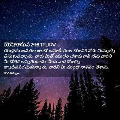 Picture 02 - యెహోషువ 24:8 TELIRV - యొర్దాను అవతల - Bible Verse Picture