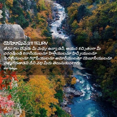 Picture 02 - యెహోషువ 3:11 TELIRV - జీవం గల దేవుడు మీ - Bible Verse Picture