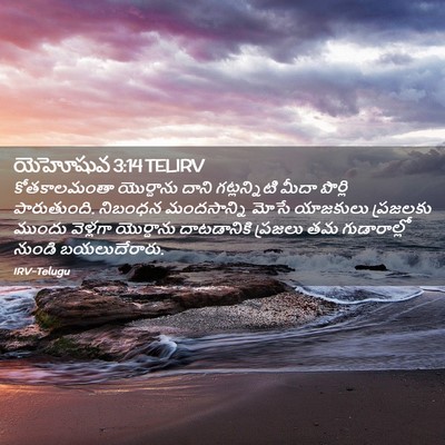 Picture 02 - యెహోషువ 3:14 TELIRV - కోతకాలమంతా - Bible Verse Picture