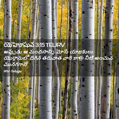 Picture 02 - యెహోషువ 3:15 TELIRV - అప్పుడు ఆ - Bible Verse Picture