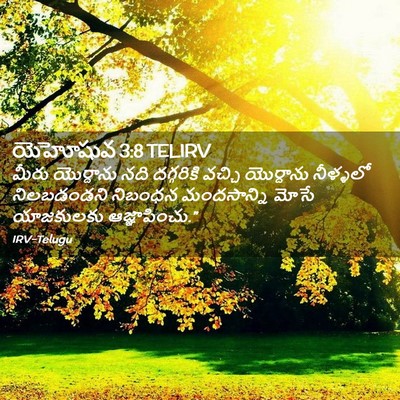 Picture 02 - యెహోషువ 3:8 TELIRV - మీరు యొర్దాను నది - Bible Verse Picture