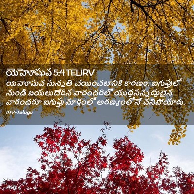 Picture 02 - యెహోషువ 5:4 TELIRV - యెహోషువ సున్నతి - Bible Verse Picture
