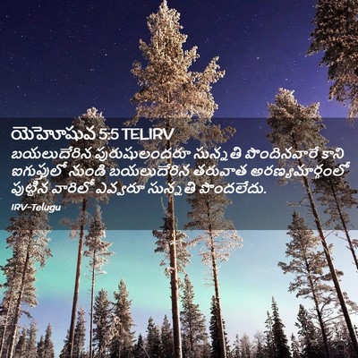 Picture 02 - యెహోషువ 5:5 TELIRV - బయలుదేరిన - Bible Verse Picture