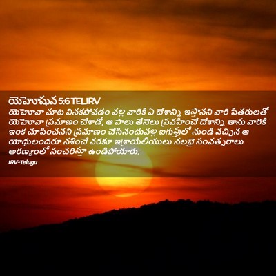Picture 02 - యెహోషువ 5:6 TELIRV - యెహోవా మాట - Bible Verse Picture