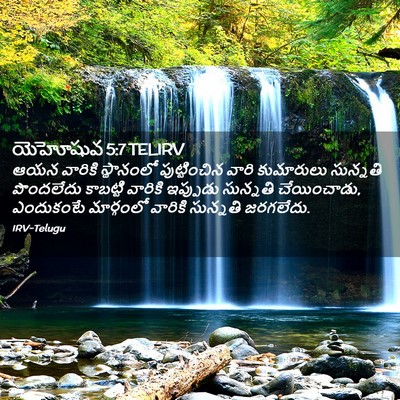 Picture 02 - యెహోషువ 5:7 TELIRV - ఆయన వారికి - Bible Verse Picture