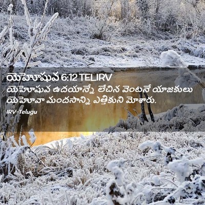 Picture 02 - యెహోషువ 6:12 TELIRV - యెహోషువ ఉదయాన్నే - Bible Verse Picture