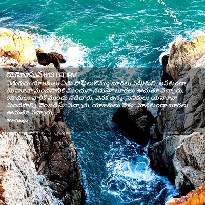 Picture 02 - యెహోషువ 6:13 TELIRV - ఏడుగురు యాజకులు - Bible Verse Picture
