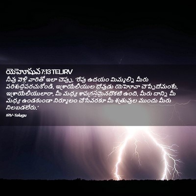 Picture 02 - యెహోషువ 7:13 TELIRV - నీవు వెళ్లి - Bible Verse Picture