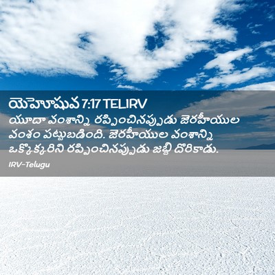 Picture 02 - యెహోషువ 7:17 TELIRV - యూదా వంశాన్ని - Bible Verse Picture