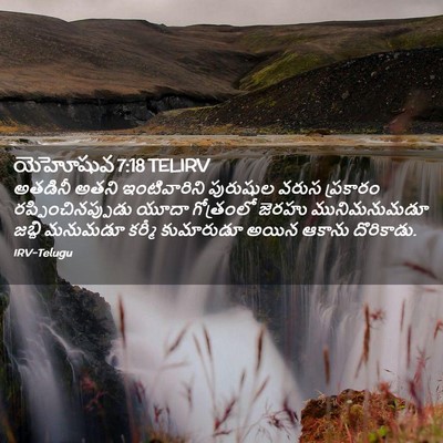 Picture 02 - యెహోషువ 7:18 TELIRV - అతడినీ అతని - Bible Verse Picture