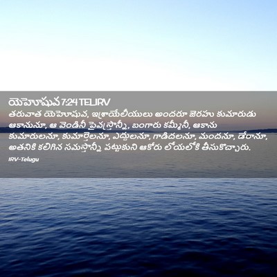 Picture 02 - యెహోషువ 7:24 TELIRV - తరువాత యెహోషువ, - Bible Verse Picture