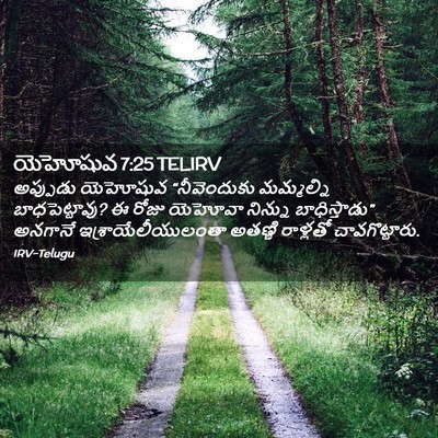 Picture 02 - యెహోషువ 7:25 TELIRV - అప్పుడు యెహోషువ - Bible Verse Picture