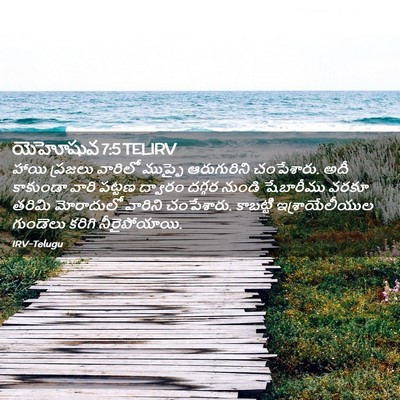 Picture 02 - యెహోషువ 7:5 TELIRV - హాయి ప్రజలు - Bible Verse Picture