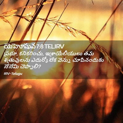 Picture 02 - యెహోషువ 7:8 TELIRV - ప్రభూ, కనికరించు, - Bible Verse Picture