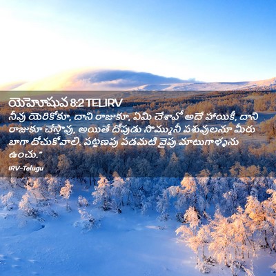 Picture 02 - యెహోషువ 8:2 TELIRV - నీవు యెరికోకూ, - Bible Verse Picture