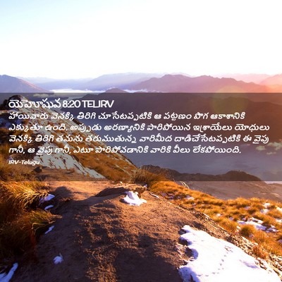 Picture 02 - యెహోషువ 8:20 TELIRV - హాయివారు వెనక్కి - Bible Verse Picture