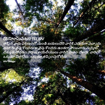 Picture 02 - యెహోషువ 8:22 TELIRV - తక్కిన వారు - Bible Verse Picture