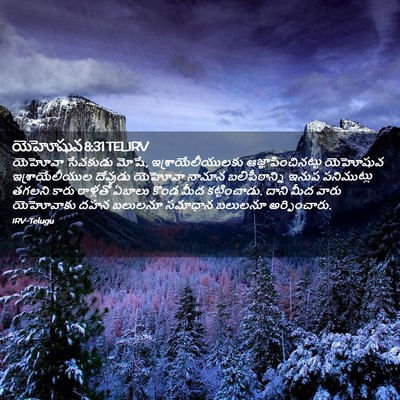Picture 02 - యెహోషువ 8:31 TELIRV - యెహోవా సేవకుడు - Bible Verse Picture