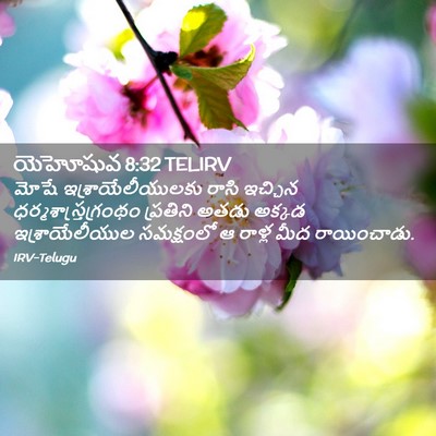 Picture 02 - యెహోషువ 8:32 TELIRV - మోషే - Bible Verse Picture