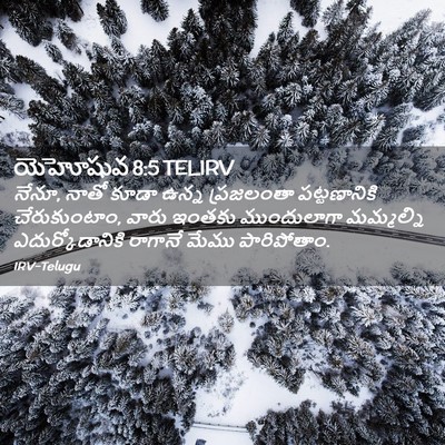 Picture 02 - యెహోషువ 8:5 TELIRV - నేనూ, నాతో కూడా - Bible Verse Picture