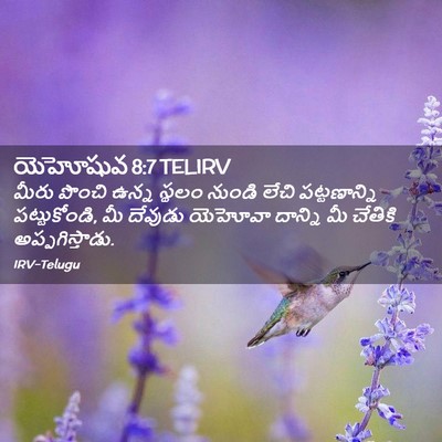 Picture 02 - యెహోషువ 8:7 TELIRV - మీరు పొంచి ఉన్న - Bible Verse Picture