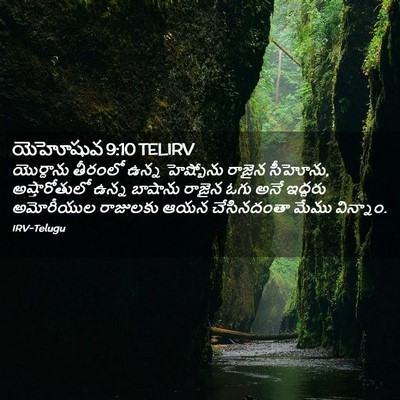 Picture 02 - యెహోషువ 9:10 TELIRV - యొర్దాను తీరంలో - Bible Verse Picture
